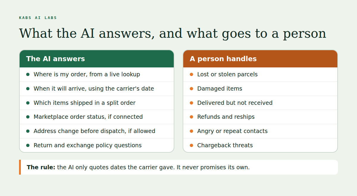 Two columns. The AI answers where an order is from a live lookup, when it will arrive using the carrier's date, which items shipped in a split order, marketplace order status if connected, address changes before dispatch if allowed, and return and exchange policy questions. A person handles lost or stolen parcels, damaged items, delivered but not received, refunds and reships, angry or repeat contacts, and chargeback threats. The AI only quotes dates the carrier gave.