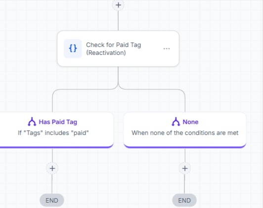 The reactivation check: a Check for Paid Tag step branching into Has Paid Tag and None